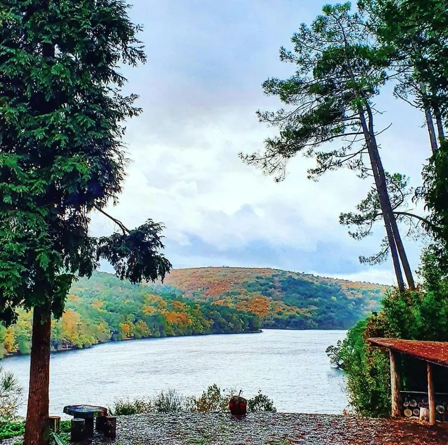 O Faya Cottage Votre Gite Calme Et Verdoyant En Bretagne Saint-Mayeux