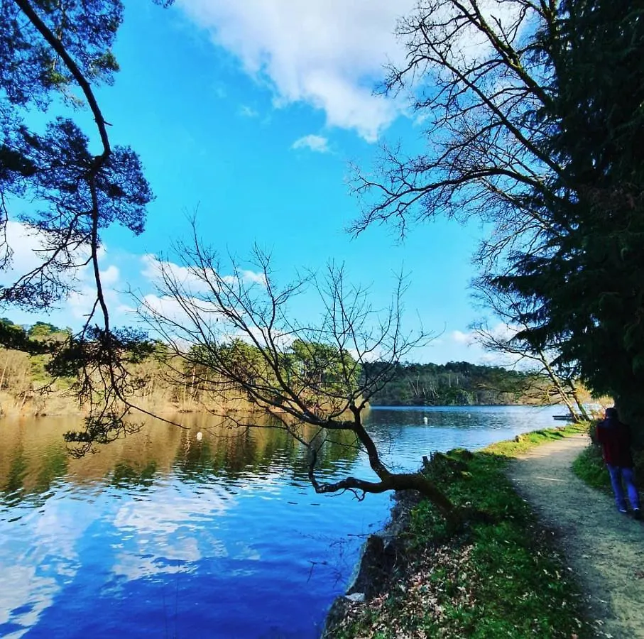 O Faya Cottage Votre Gite Calme Et Verdoyant En Bretagne Saint-Mayeux Prázdninový dům